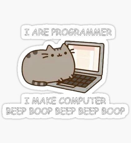 I Are Programmer Sticker – Funny Cat Coding Decal