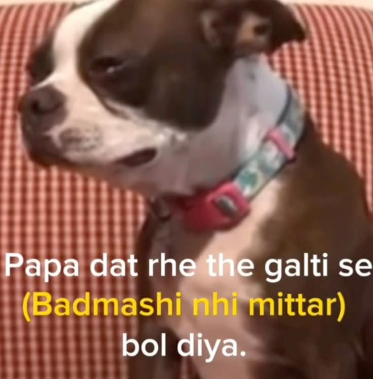 Badmashi Nahi Mittar - The Instant Regret Decal