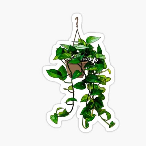 Hanging Plant Sticker – Greenery Lover Vinyl 🌿