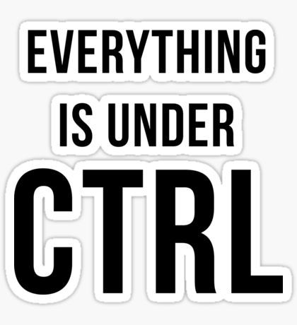 Everything is Under CTRL Sticker – Geeky Pun for Programmers ⌨️😎
