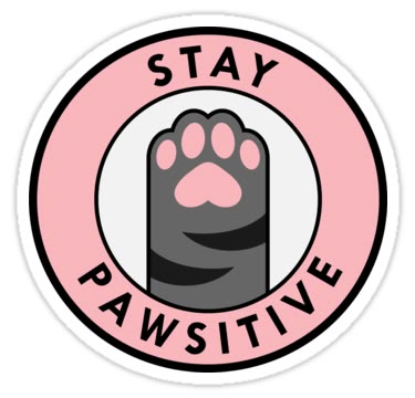 Stay Pawsitive Sticker – Cute Motivational Cat Paw Decal